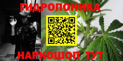наркотики Камышлов