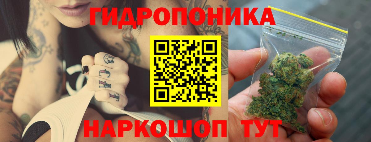 Каннабис план Армавир